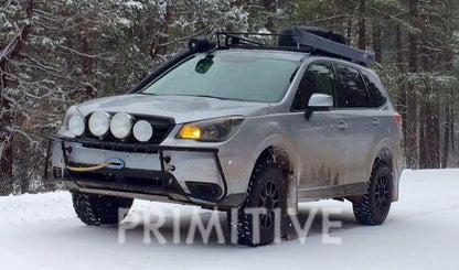 Primitive Winch and Mount