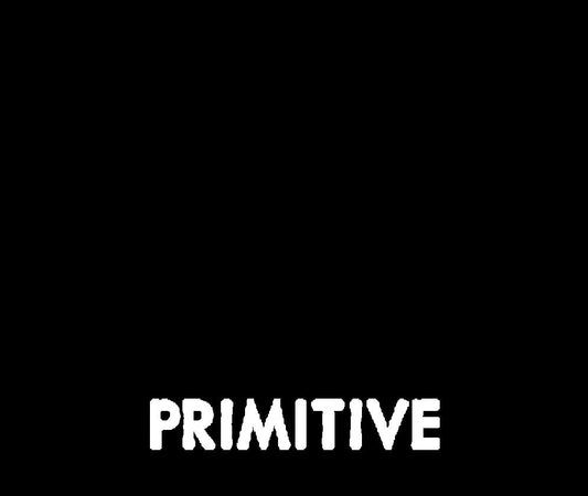 Primitive Racing Women's Team T-Shirt