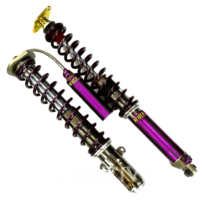 Reiger Ford Fiesta 3-way Integrated Rear Spring