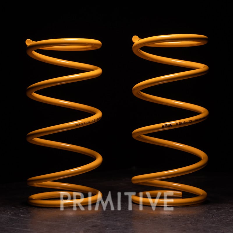 1995-1999 Outback Standard Height Rear Springs
