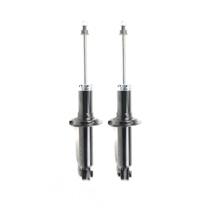 2004-2006 Baja FHI Rear Shocks