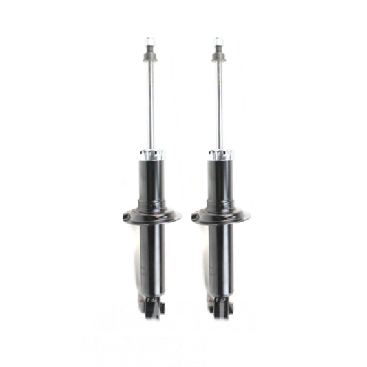 2004-2006 Baja FHI Rear Shocks