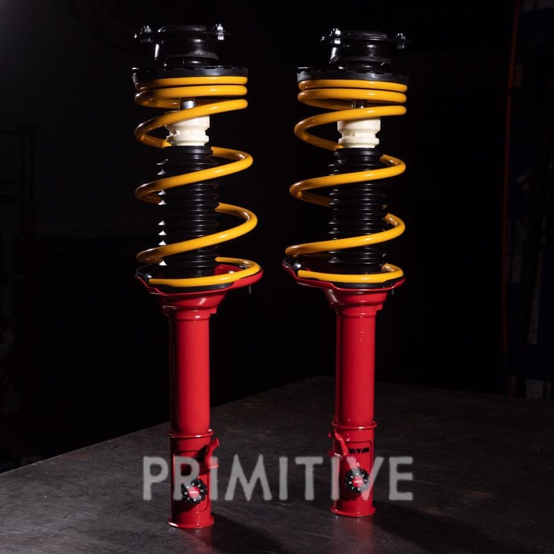 Picture is representative of what a pre assembled spring & strut package looks like