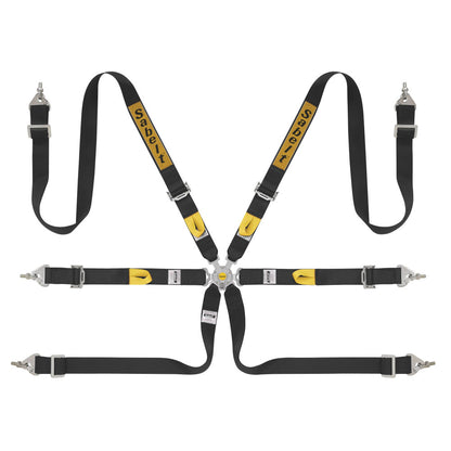 Sabelt Steel Series 2" Rally 6 Point Harness